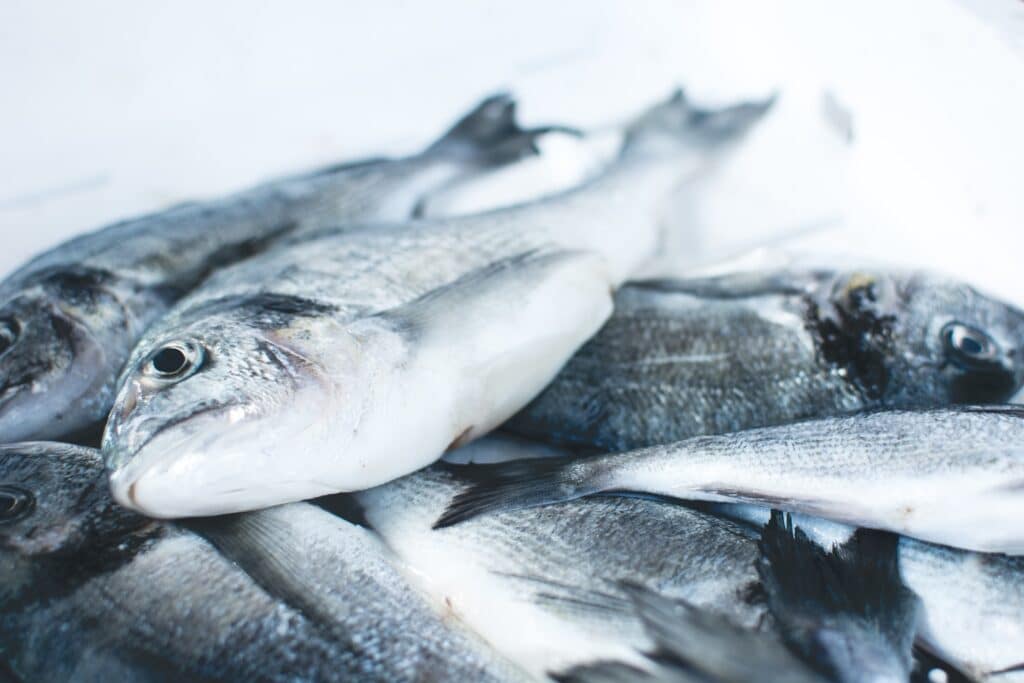 poisson sur glace